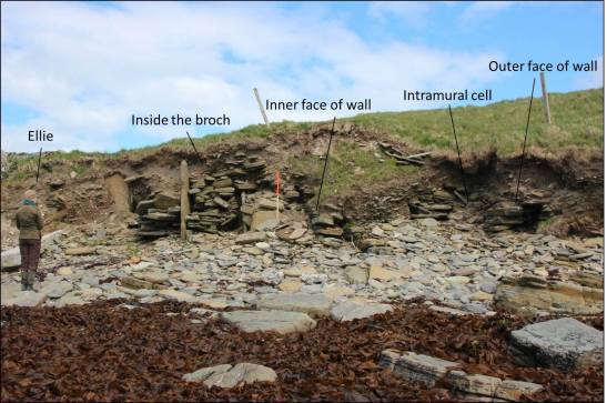 A perfect little half-sectioned  broch tucked into a corner of Lopness Bay on Sanday. If we were to clear some of the beach stone we could probably find more of the plan - and maybe even an underground chamber as at Channerwick.