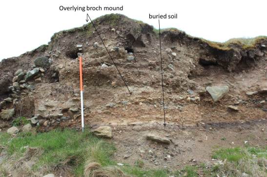 The light browny-grey layer is the ground surface that was there before the broch was built.