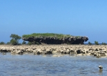 A view across a shallow lagoon and coral reef to a small tidal islet which is shaped like a boat.